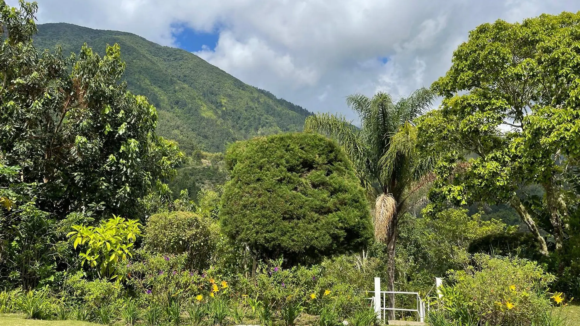 Starlight Chalet & Health Spa Spa Spring 0*,  Jamaica