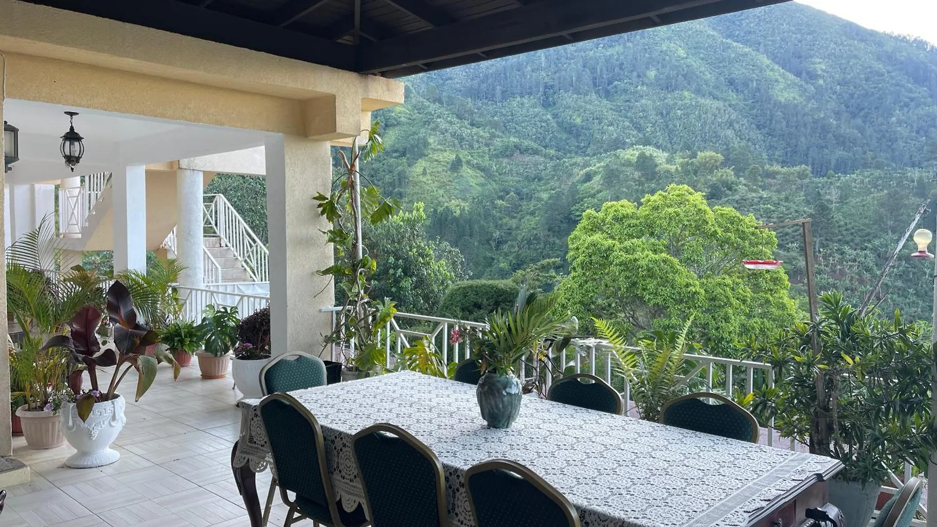 Hotel Starlight Chalet & Health Spa Spa Spring Jamaica