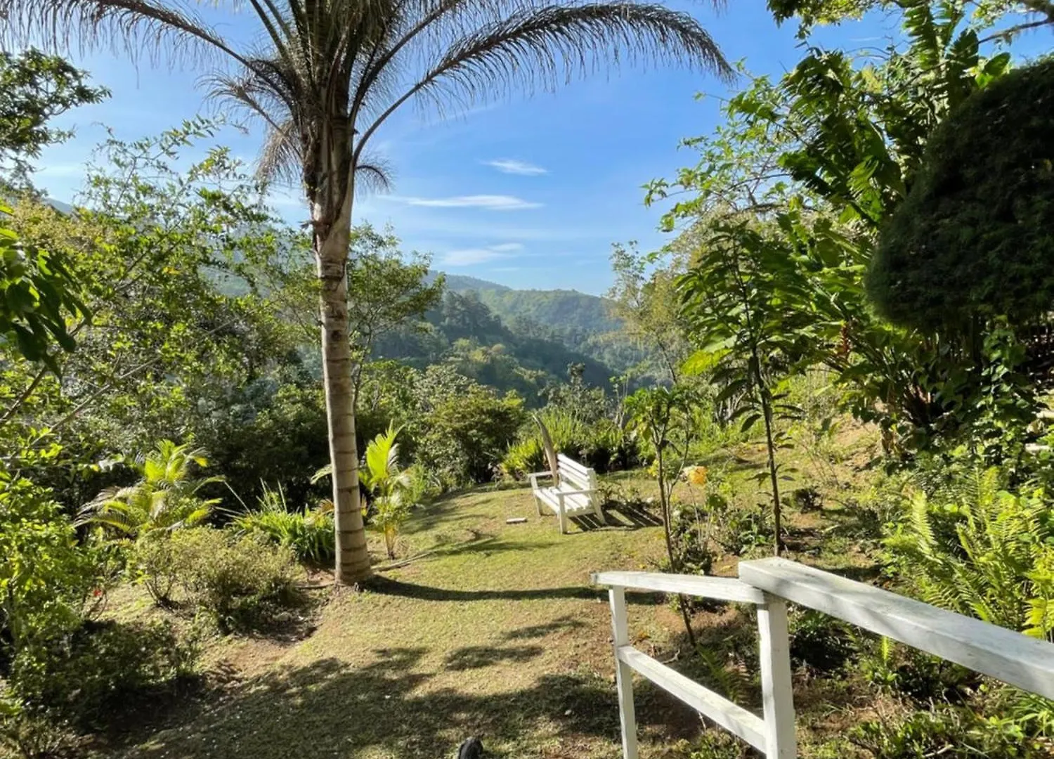 Starlight Chalet & Health Spa Spa Spring 0*,  Jamaica