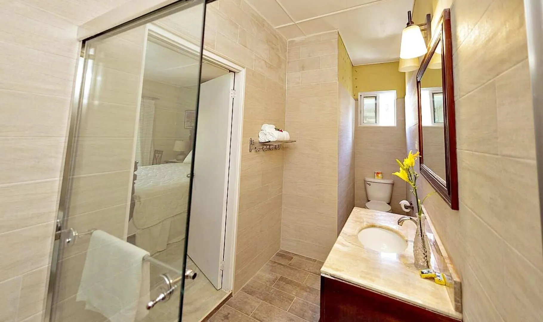 Starlight Chalet & Health Spa Spa Spring Jamaica